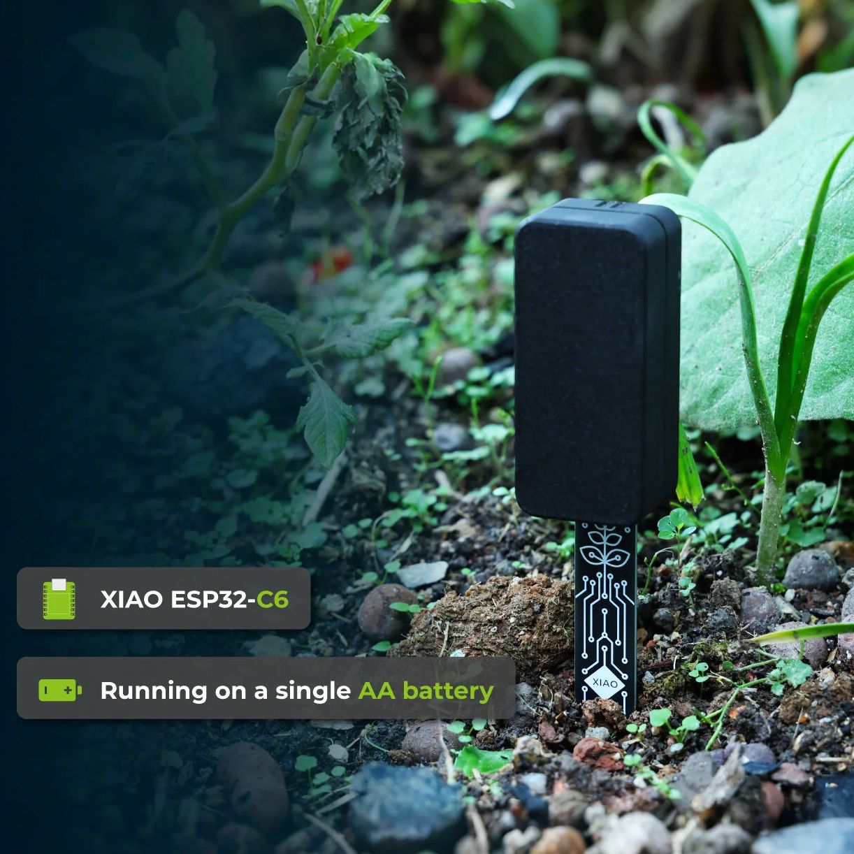 XIAO ESP32 C6 Soil Moisture Se - đánh giá và giá Home Automation Tutorial